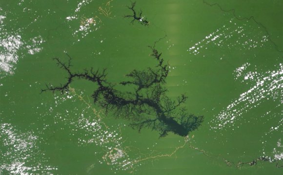Lake Balbina, a giant Amazon