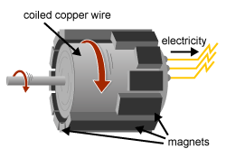 Diagram of a turbine generator - Spinning rotor turning coiled copper wir inside fixed magnets to come up with electrical energy.