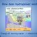 Hydroelectric power how does it work?