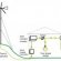 Turbine generator diagram