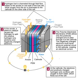 exactly how Hydrogen gas Cells work