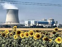 advantages and disadvantages of atomic power plants