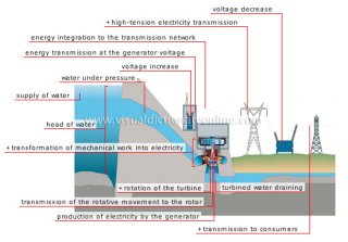 steps in production of electrical energy